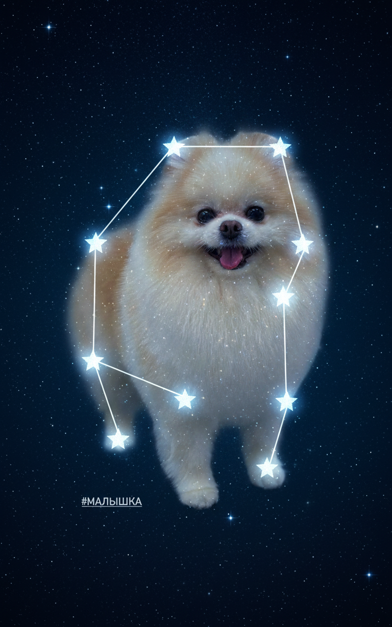 Constellation